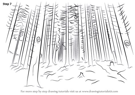 Learn How To Draw A Forest Nature Step By Step Drawing Tutorials