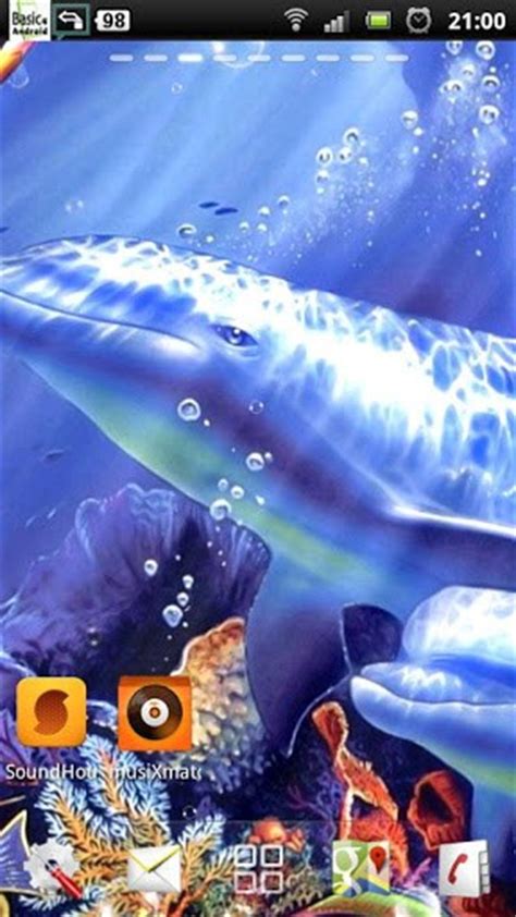 50 Free Live Dolphin Wallpaper On Wallpapersafari
