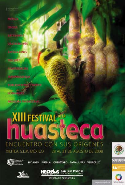 Huapanguero Xiii Festival De La Huasteca Xilitla San Luis Potosí