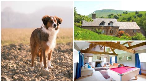 Top 10 Dog Friendly Cottages For A Uk Break Olivers Travels