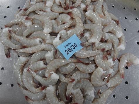 White Prawns Frozen Hlso High Quality Vannamei Shrimps For Sale At