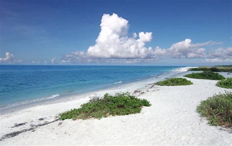 Sanibel Island Guide What Its Known For And Things To Do