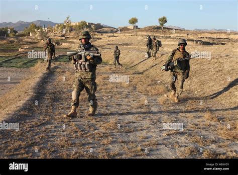 afghan soldiers conduct a patrol through fields near kharwar district s musakhel village in