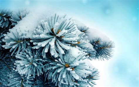 Красивые картинки зима на рабочий стол (46 фото) • Развлекательные картинки