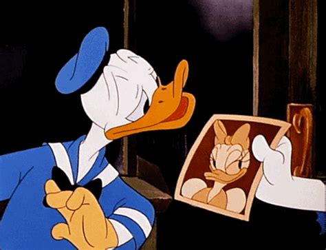 Disney Donald Duck  Snl