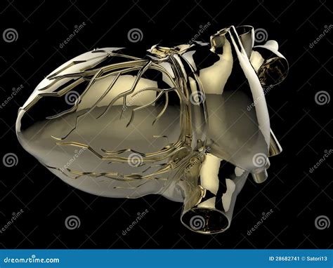 Artificial Human Heart Stock Illustration Illustration Of Healthy