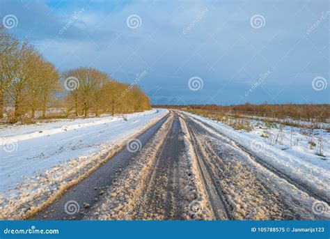 Snowy Road Through A Frozen Landscape Along Trees Stock Image Image