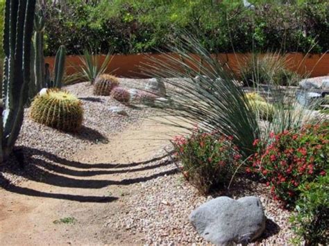 Simple Desert Landscaping Ideas Desert Landscaping For Your Yard In