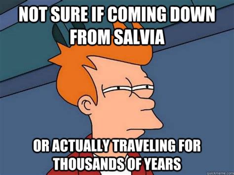 Not Sure If Coming Down From Salvia Or Actually Traveling For Thousands