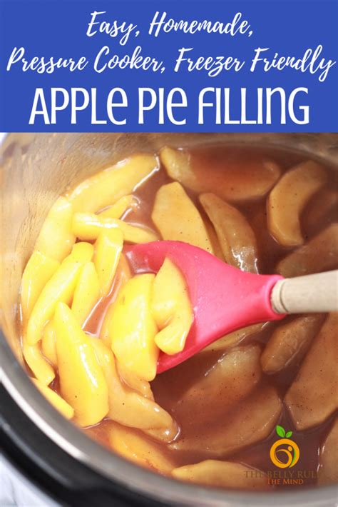 Cinnamon Apple Pie Filling Recipe Apple Pies Filling Pie Filling