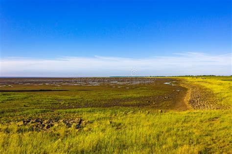 Beautiful Coast Mudflats And Wadden Sea Seascape Landscape Dorum