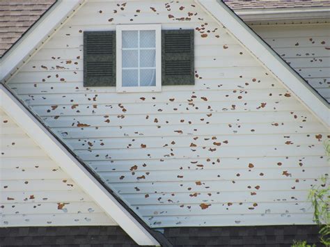 Hail Storm Damage What To Do If Your Home Has Been Damaged By Hail