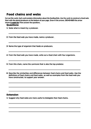 Grade 5 food chains and webs. Food chains and webs worksheet activity | Teaching Resources