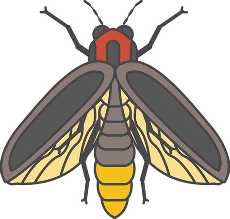 Firefly Clipart Transparent Background