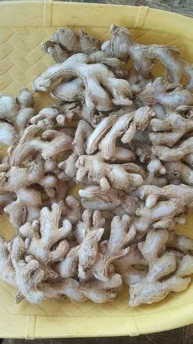 Dry Sunth Ginger Packaging Type Packet Packaging Size 1 Kg At Rs 200kg In Ahmedabad
