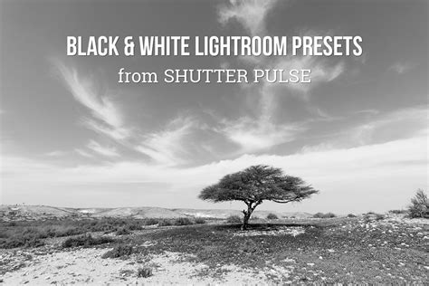Free high contrast black & white lightroom preset. Black & White Lightroom Presets - Shutter Pulse