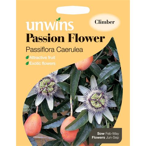 Passion Flower Passiflora Caerulea Seed Packet