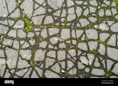 The Asphalt Road Is Broken Cracked Pavement Texture Moss Grows In The