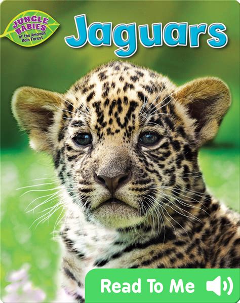 Jaguars Childrens Book By Rachel Lynette Discover Childrens Books