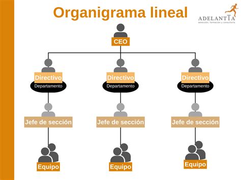 Como Organizar Un Organigrama De Una Empresa Como Un Organigrama Word