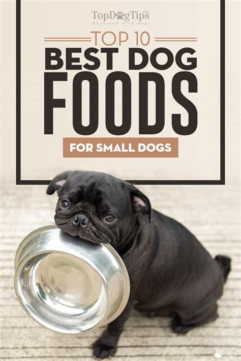 Best food for small dogs uk. 10 Best Dog Foods for Small Breeds (With images) | Small ...