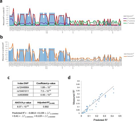 Visualization Of Snp Families That Contribute To Rai1 Mrna Expression