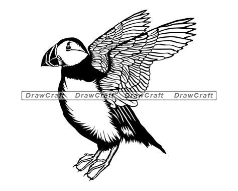 Puffin Svg Animals Svg Puffin Cut Files Puffin Files For Etsy