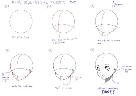 Схема рисования головы аниме 10 фото