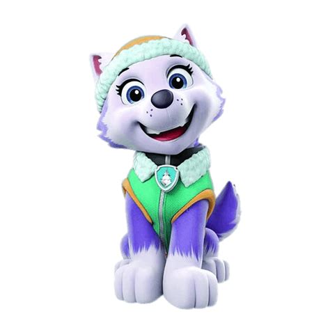 Paw Patrol Everest Png Png Image Collection
