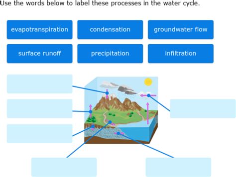 Ixl Label Parts Of Water Cycle Diagrams 7th Grade Science