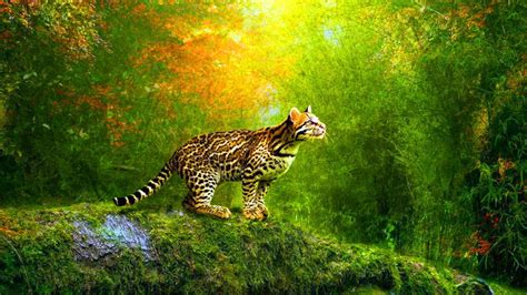moving wallpapers 1366×768 Moving Wallpapers (22 Wallpapers) | Adorable