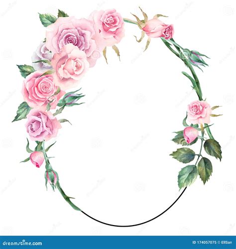 Oval Frame With Pink Roses Leaves And Buds On A White Background