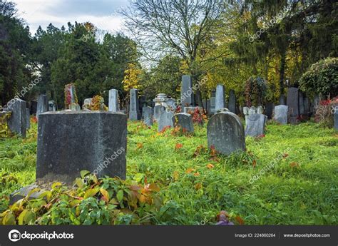 Old Jewish Cemetery Vienna — Stock Photo © Egal 224860264