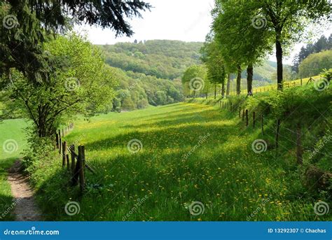 Scenic Green Countryside Stock Image Image Of Wood Outdoor 13292307