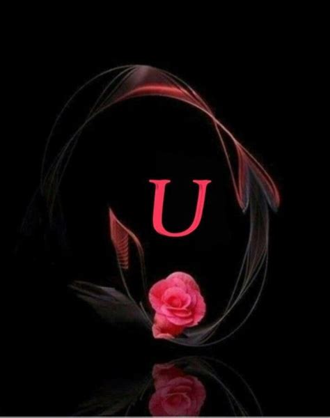 The Letter U Is Surrounded By Pink Roses And Black Feathers On A Dark