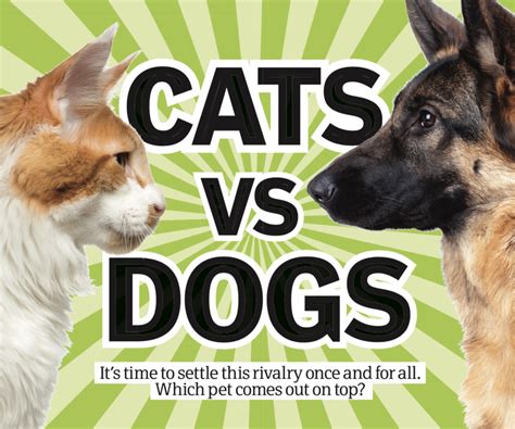 Cats Vs Dogs Which Pet Comes Out On Top How It Works