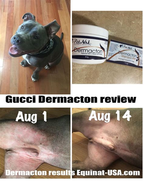 Dermacton Reviews Equinat Dog Skin Dog Skin Care Itchy Dog