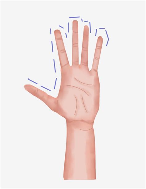 Five Finger Hd Transparent Five Fingers Open Gesture Illustration Five Fingers Open
