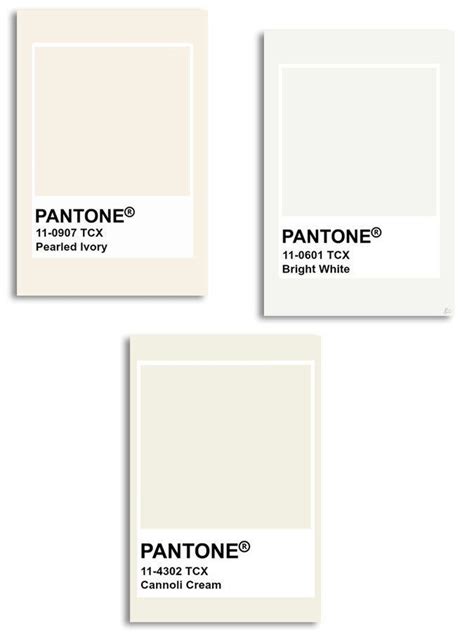 Ivory White Cream Tones Pantone Ivory Color Palette Cream Color