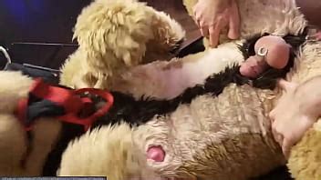 Gay Furry And Fursuit Sex 2 Hours XVIDEOS