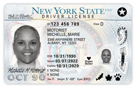 Dmv Releases Newly Designed New York Drivers Licenses Rochesterfirst
