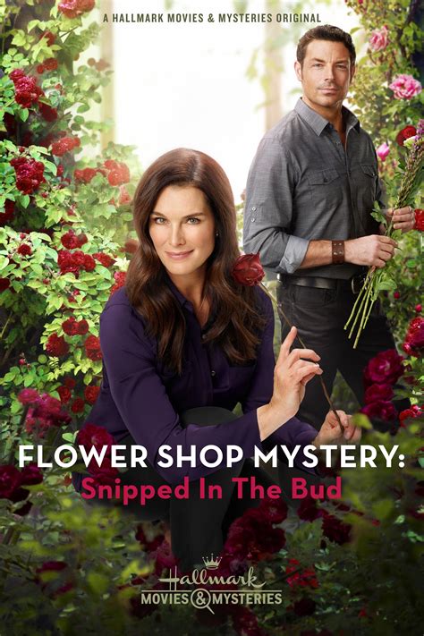 You can now watch hallmark movies and mysteries without cable thanks to several internet tv streaming services. Flower Shop Mystery Movies on Hallmark | Kings River Life ...