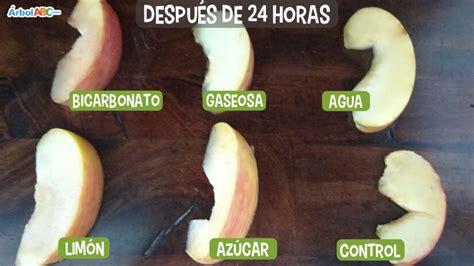 Proceso De Oxidacion De Una Manzana Lios