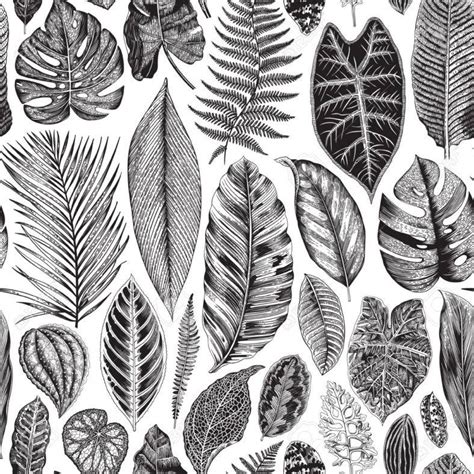 20 Botanical Illustrations Free And Premium Templates