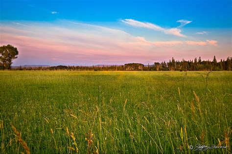 Grassy Meadow At Sunset Jeffrey Favero Fine Art Photography