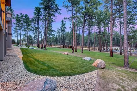 Dynasty Plan - 9974 Antelope Ravine Drive, Colorado Springs, CO 80908