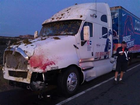 A Boise State Equipment Truck Hit A Cow And Someone Took A Picture Of