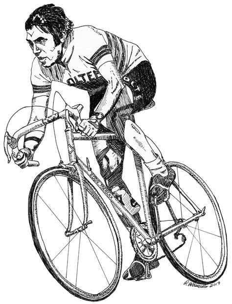 Cycling Print Eddy Merckx Belgian Cyclist Drawing By Rachel