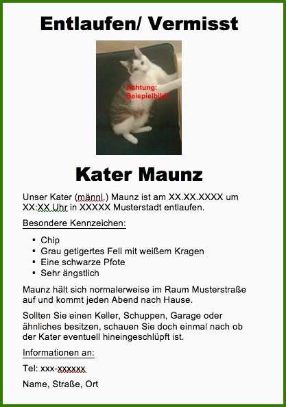 Vermisstenanzeige Katze Vorlage Ungewöhnlich Katze Entlaufen Was Tun