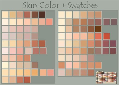 Partial Sample Of Skin Tones Paint Color Swatches Color Palette